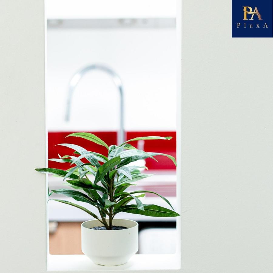 Pluxa Vivid Veranda Beautiful City Centre Apartment With Free Parking Birmingham Kültér fotó